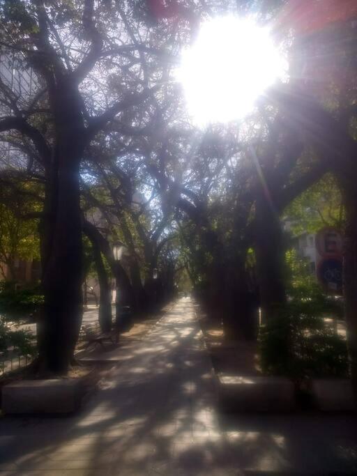 Para Tus Escapadas A Córdoba Exteriör bild